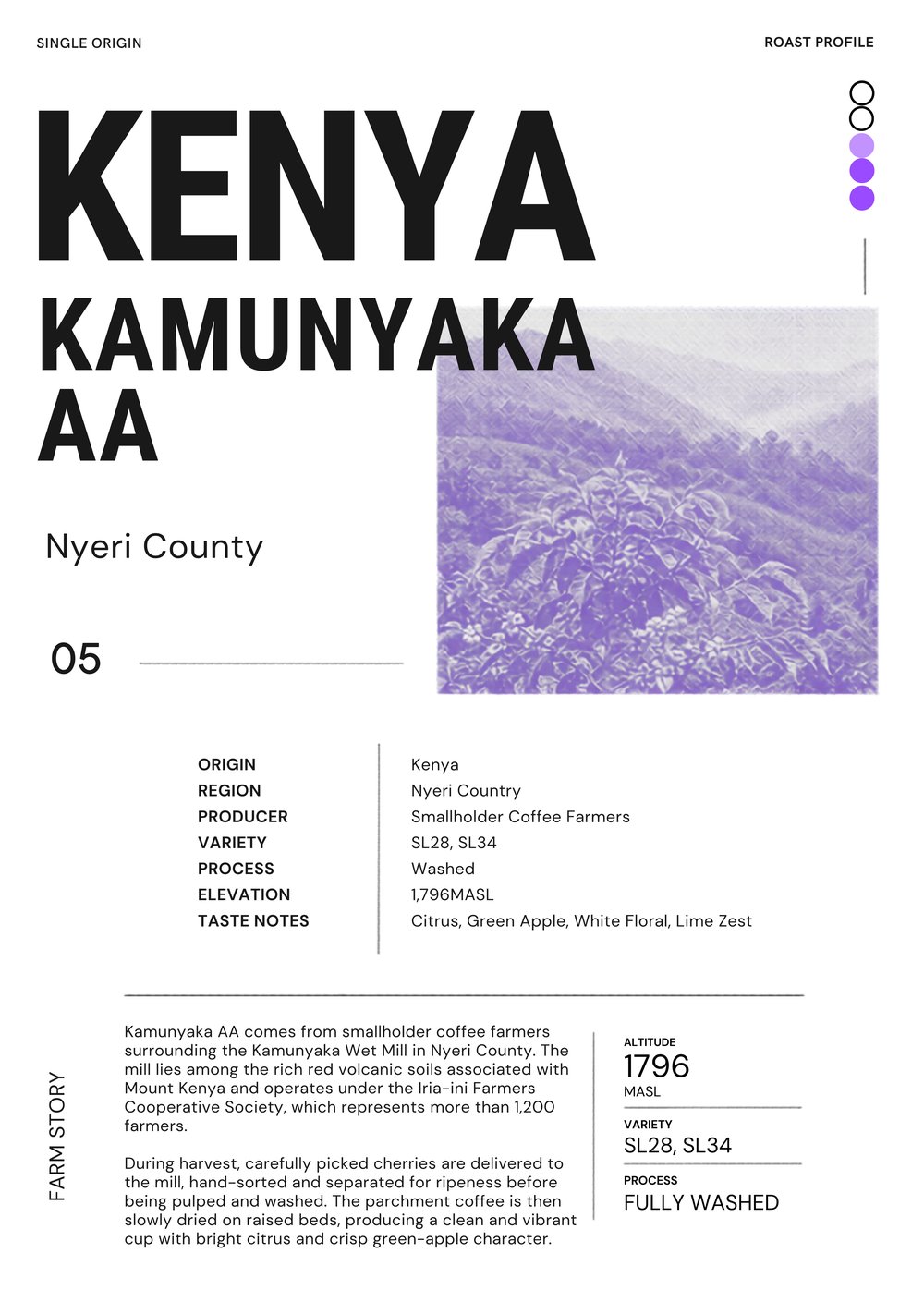 Kenya Kamunyaka AA